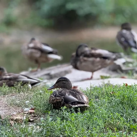 Premium Platinium * Rzeszów