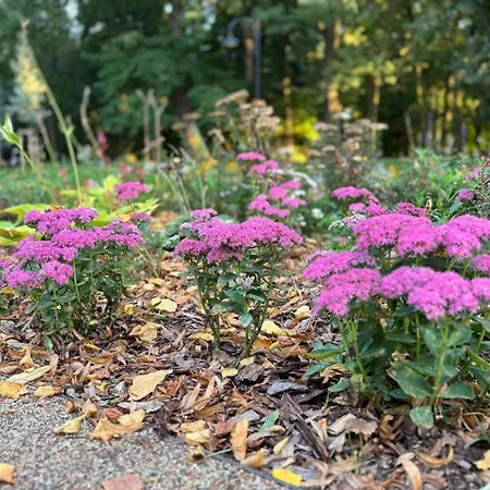 Apartament Premium Platinium