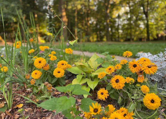 Apartamento Premium Platinium Rzeszów