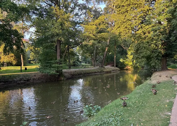 Apartamento Premium Platinium