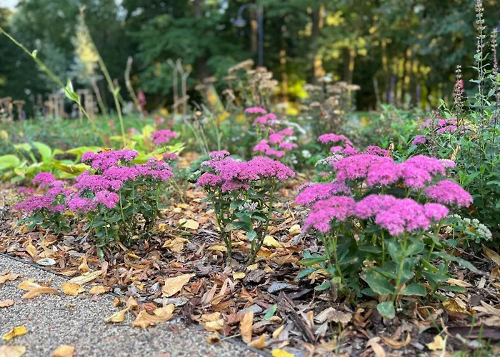 شقة Premium Platinium